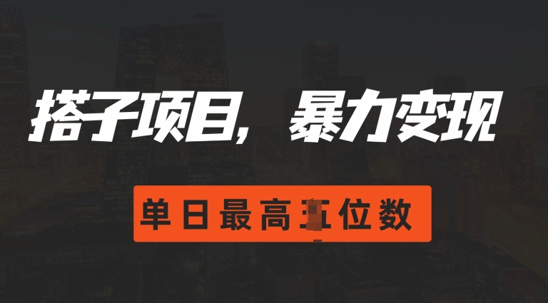 2024搭子玩法，0门槛，暴力变现，单日最高破四位数【揭秘】-暴富网创