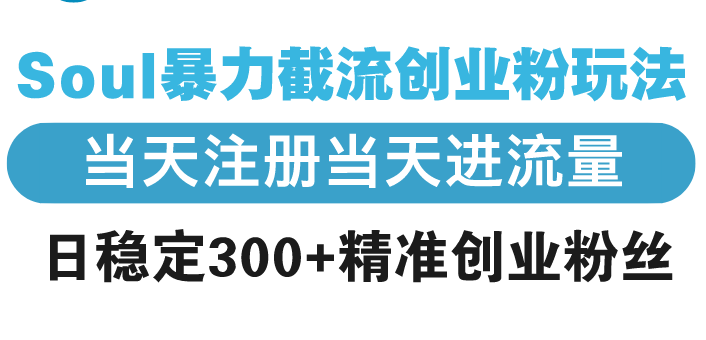 Soul暴力截流创业粉玩法，当天注册当天进流量，日稳定300+精准创业粉丝-暴富网创