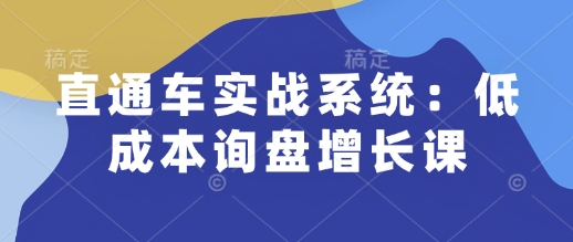 直通车实战系统：低成本询盘增长课，让个人通过技能实现升职加薪，让企业低成本获客，订单源源不断-暴富网创