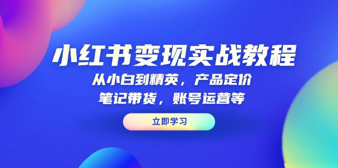 小红书变现实战教程：从小白到精英，产品定价，笔记带货，账号运营等-暴富网创