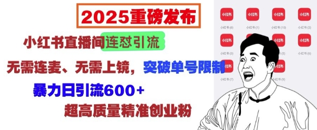 2025重磅发布：小红书直播间连怼引流，无需连麦、无需上镜，突破单号限制，暴力日引流600+-暴富网创