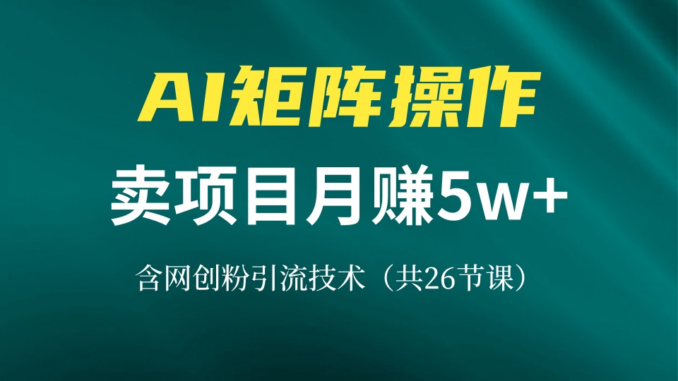 网创IP打造课，借助AI卖项目月赚5万+，含引流技术(共26节课-暴富网创