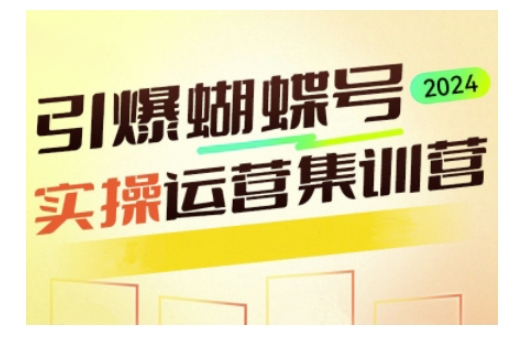 引爆蝴蝶号实操运营，助力你深度掌握蝴蝶号运营，实现高效实操，开启流量变现之路-暴富网创