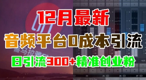 12月最新：音频平台0成本引流，日引流300+精准创业粉-暴富网创