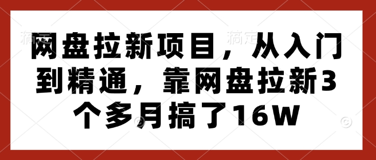 网盘拉新项目，从入门到精通，靠网盘拉新3个多月搞了16W-暴富网创