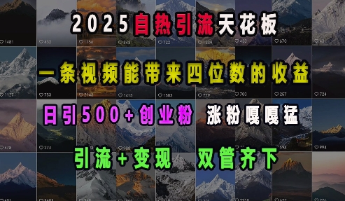 2025自热引流天花板，一条视频能带来四位数的收益，引流+变现双管齐下，日引500+创业粉，涨粉嘎嘎猛-暴富网创