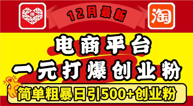 12月最新：电商平台1元打爆创业粉，简单粗暴日引500+精准创业粉，轻松月入过W【揭秘】-暴富网创