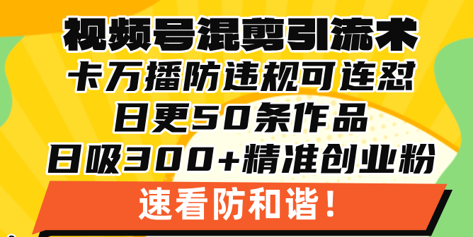 视频号混剪引流技术，500万播放引流17000创业粉，操作简单当天学会-暴富网创