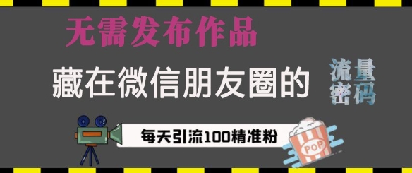 藏在微信朋友圈的流量密码，无需发布作品，单日引流100+精准创业粉【揭秘】-暴富网创