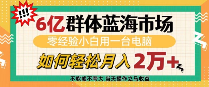 6亿群体蓝海市场，零经验小白用一台电脑，如何轻松月入过w【揭秘】-暴富网创