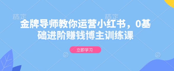 金牌导师教你运营小红书，0基础进阶赚钱博主训练课-暴富网创