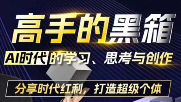 高手的黑箱：AI时代学习、思考与创作-分红时代红利，打造超级个体-暴富网创