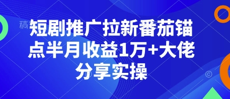 短剧推广拉新番茄锚点半月收益1万+大佬分享实操-暴富网创