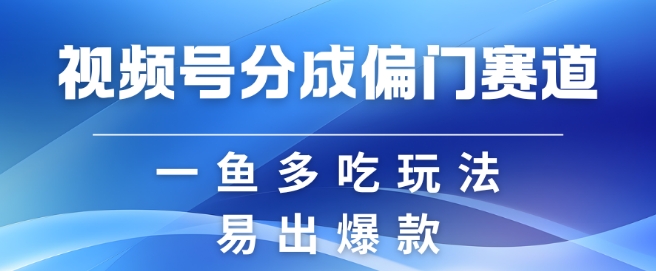 视频号创作者分成计划偏门类目，容易爆流，实拍内容简单易做【揭秘】-暴富网创