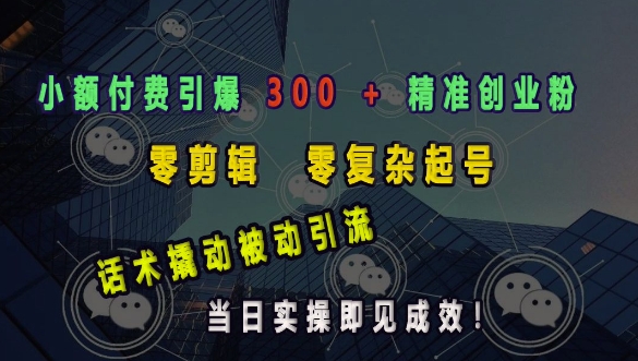 小额付费引爆 300 + 精准创业粉，零剪辑、零复杂起号，话术撬动被动引流，当日实操即见成效-暴富网创