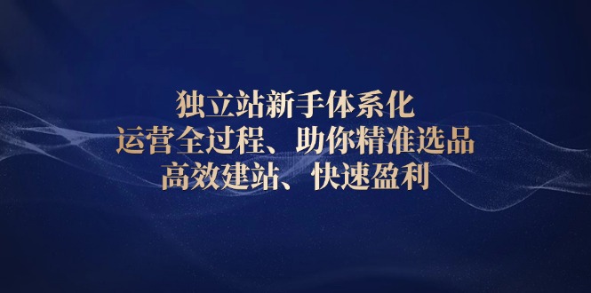 独立站新手体系化 运营全过程，助你精准选品、高效建站、快速盈利-暴富网创