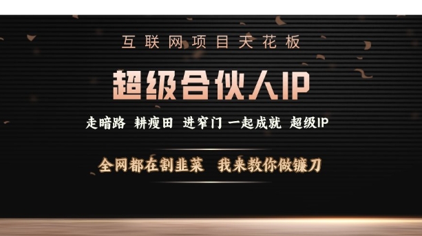 互联网项目天花板，超级合伙人IP，全网都在割韭菜，我来教你做镰刀【仅揭秘】-暴富网创